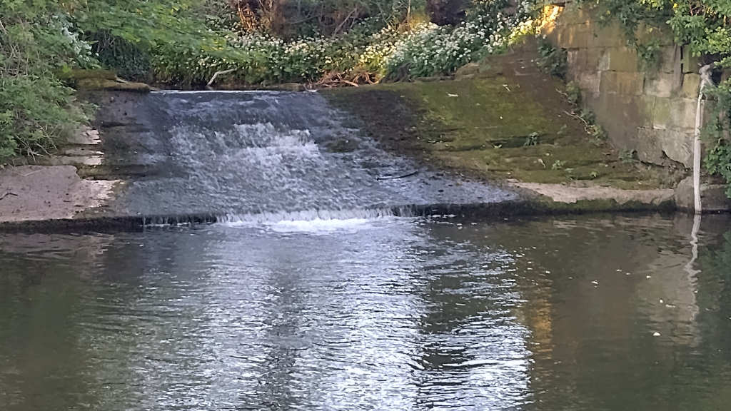 Photo of the weir pool